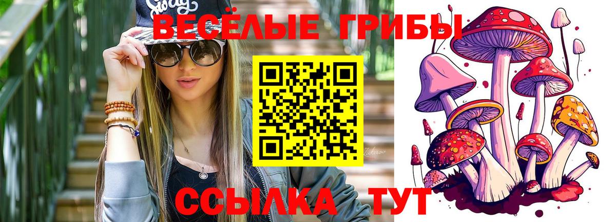Псилоцибиновые грибы ЛСД Тула